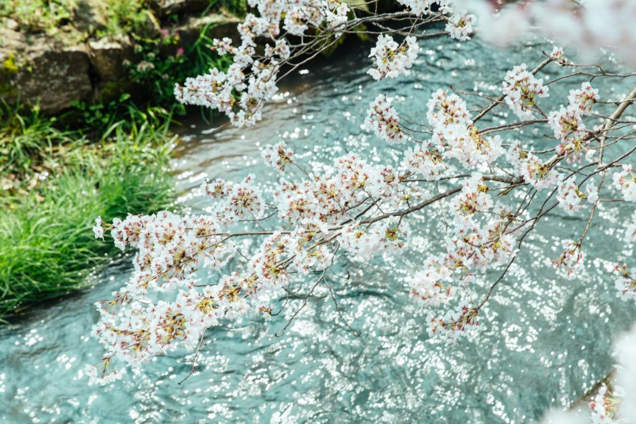 Taos 丹波の風土を感じられる一棟貸切の宿 Tamba-Sasayama Dış mekan fotoğraf